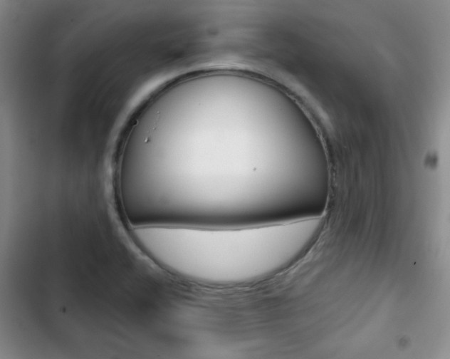 X0000102821416200808181014