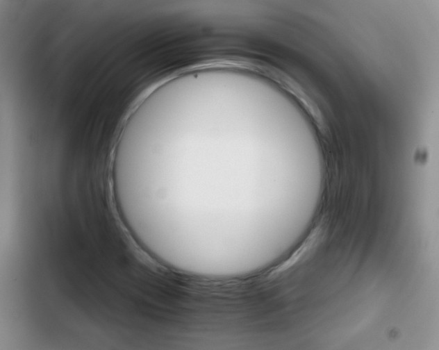 X0000102821417200808181014
