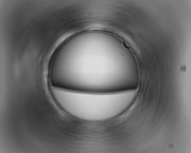 X0000102821418200808181014