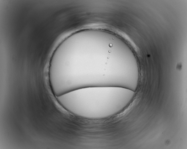 X0000102821421200808181014