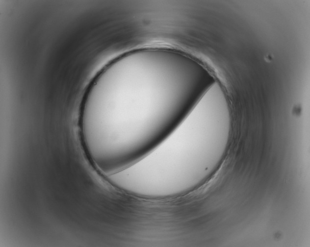 X0000102821422200808181014