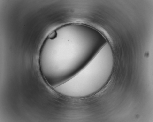 X0000102821424200808181014