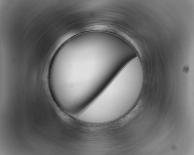 X0000102821426200808181014
