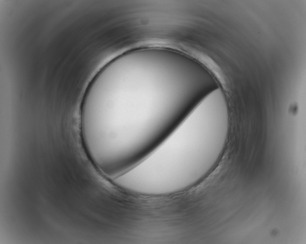 X0000102821428200808181014