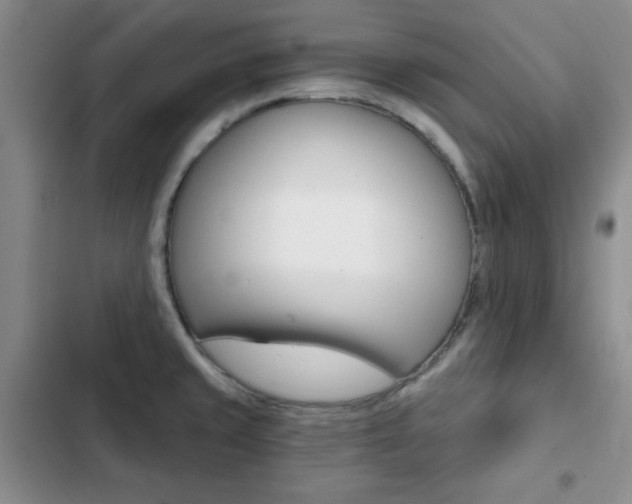 X0000102821429200808181014