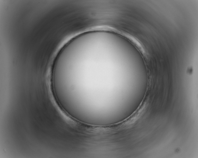 X0000102821430200808181014