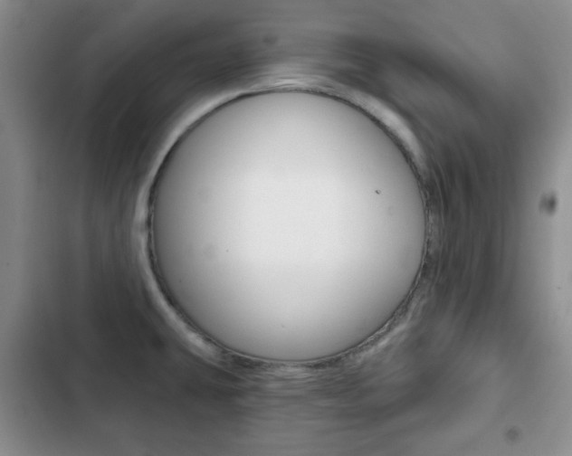 X0000102821431200808181014