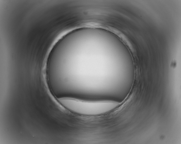 X0000102821432200808181014