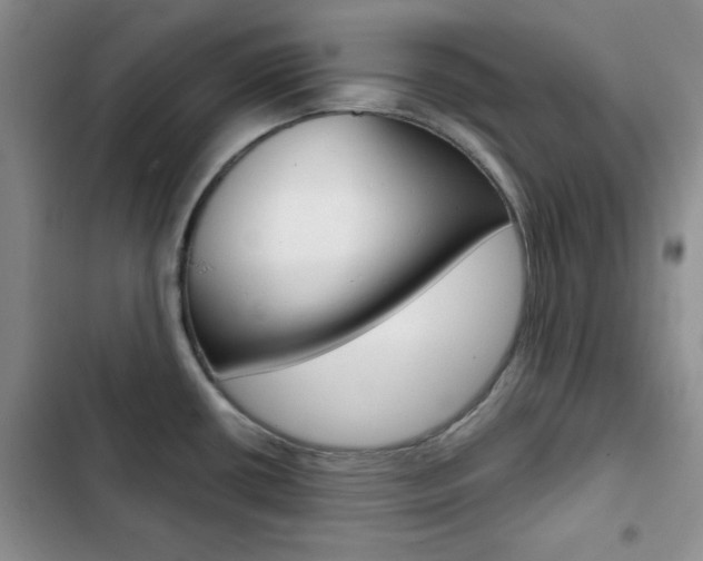 X0000102821434200808181014