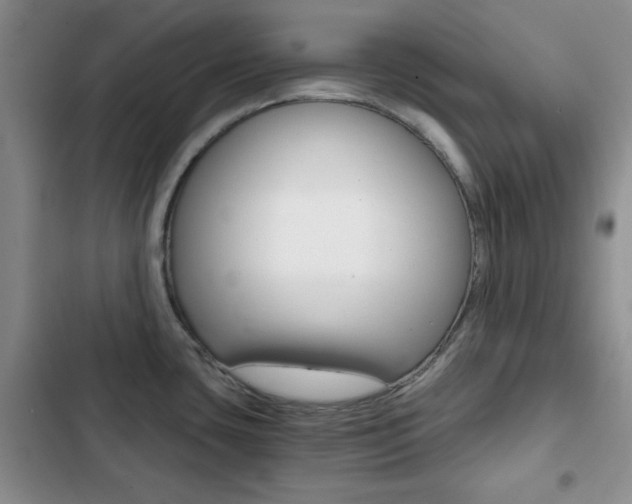 X0000102821435200808181014