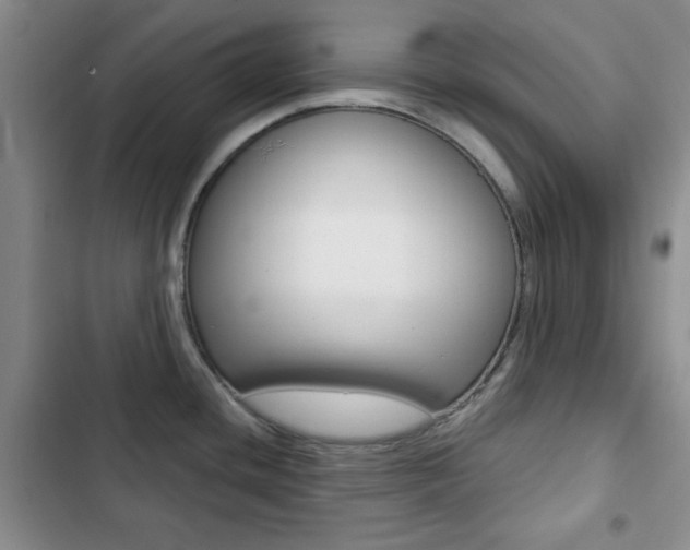 X0000102821436200808181014