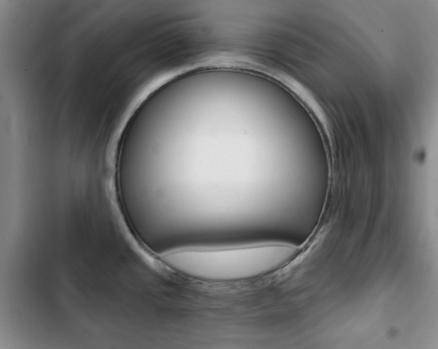 X0000102821437200808181014