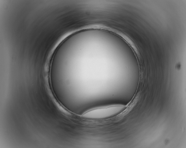 X0000102821438200808181014