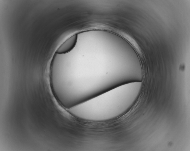 X0000102821439200808181014