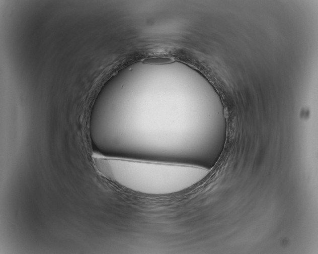 X0000102821441200808181013