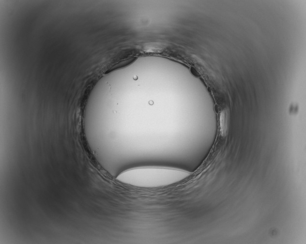 X0000102821443200808181013