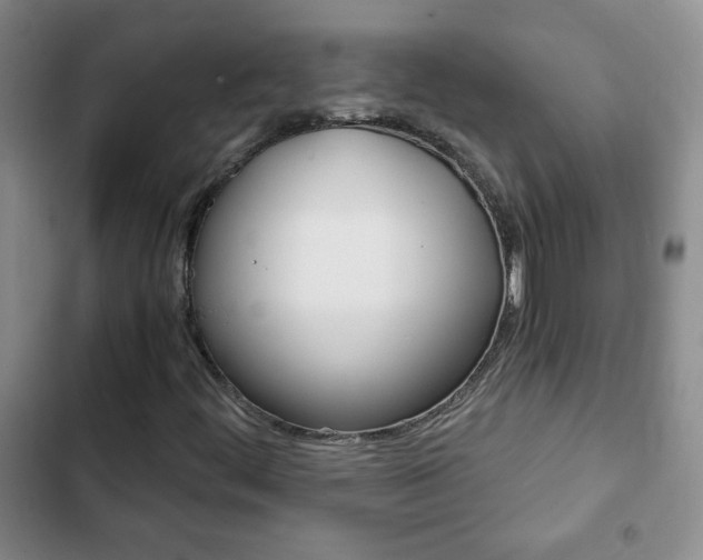 X0000102821444200808181013