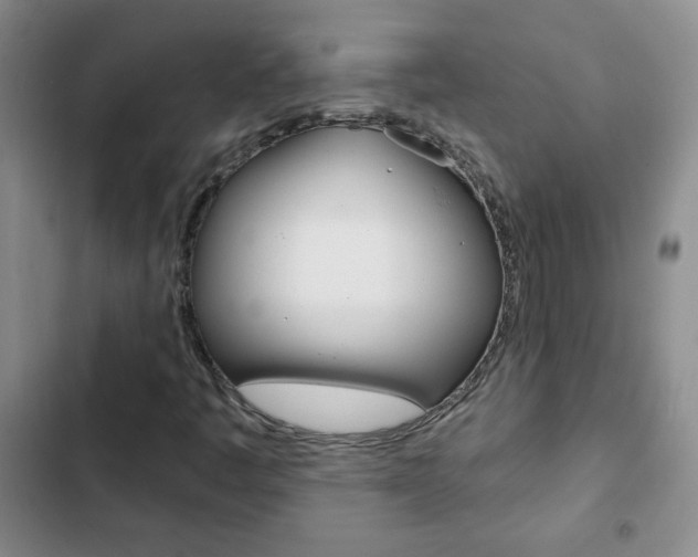 X0000102821445200808181013