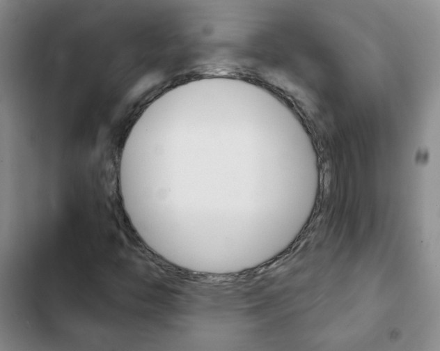 X0000102821446200808181013