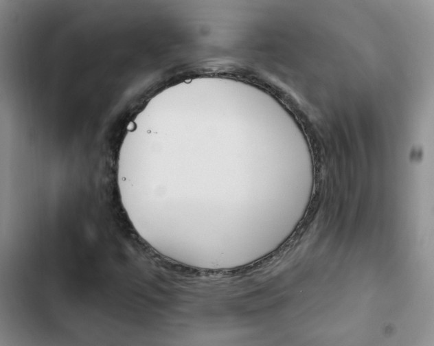 X0000102821447200808181013