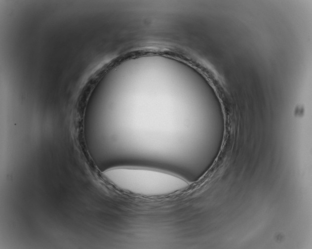 X0000102821448200808181013