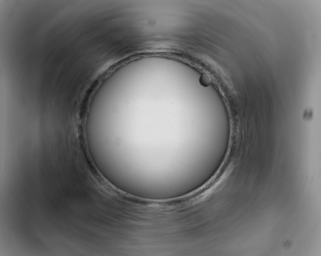 X0000102821449200808181013