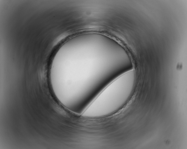 X0000102821450200808181013