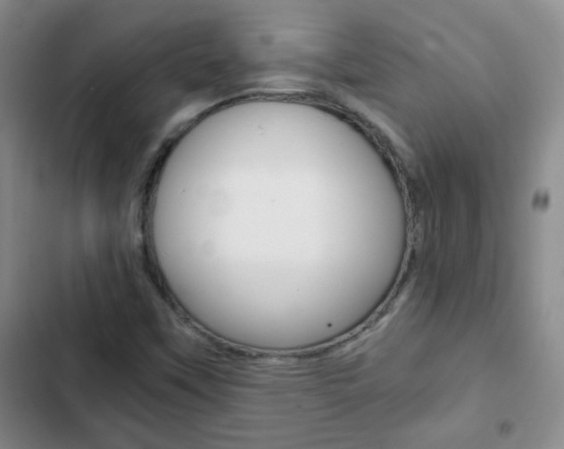 X0000102821451200808181013