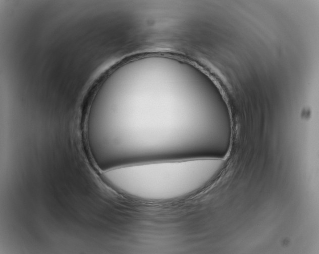 X0000102821452200808181013