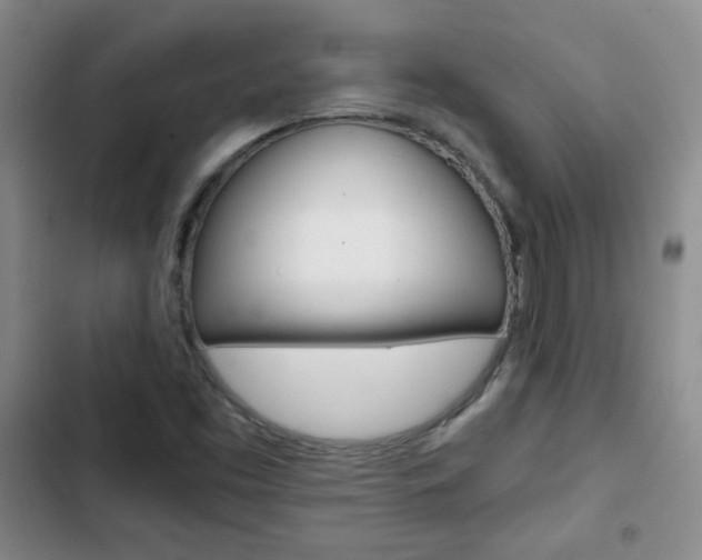 X0000102821453200808181013