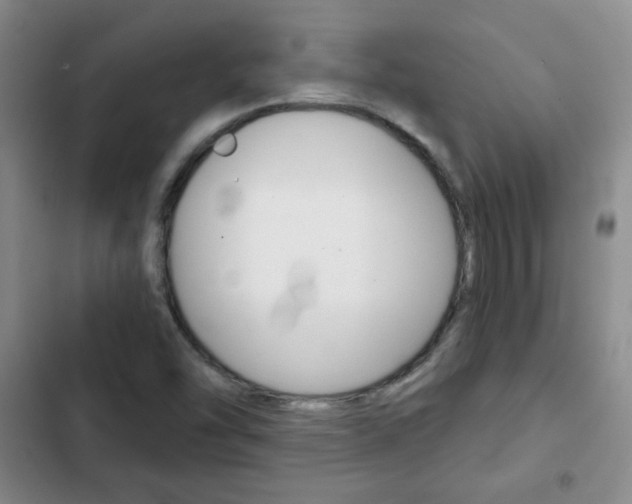 X0000102821454200808181013