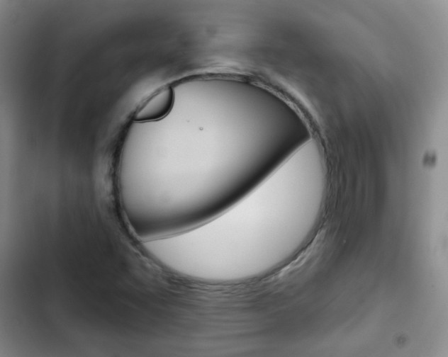 X0000102821455200808181013