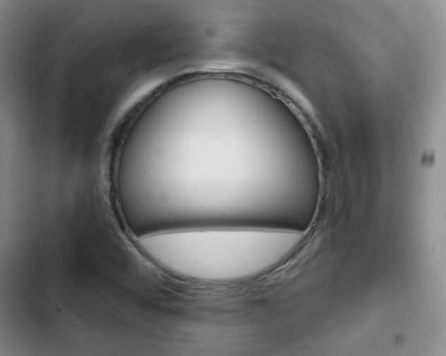 X0000102821456200808181013