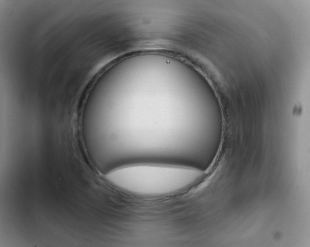 X0000102821457200808181013