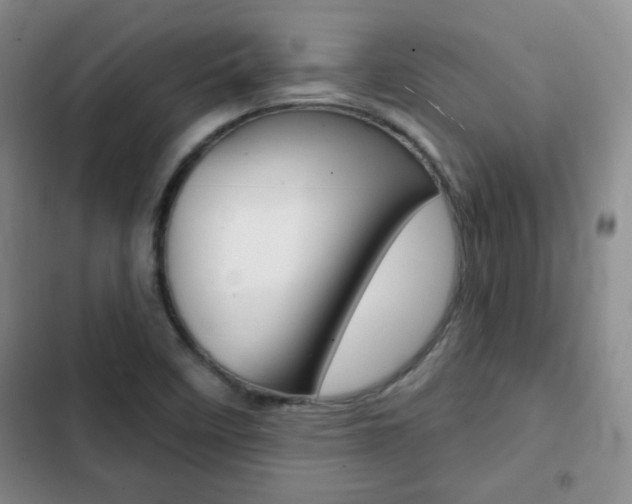 X0000102821458200808181013