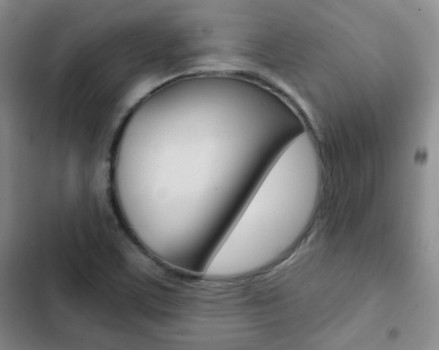 X0000102821459200808181013