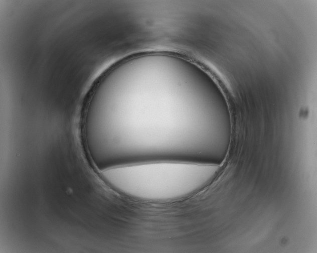 X0000102821460200808181013