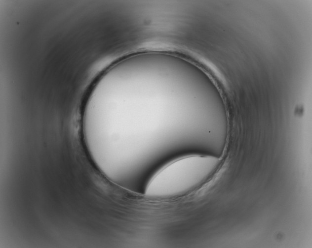 X0000102821461200808181013