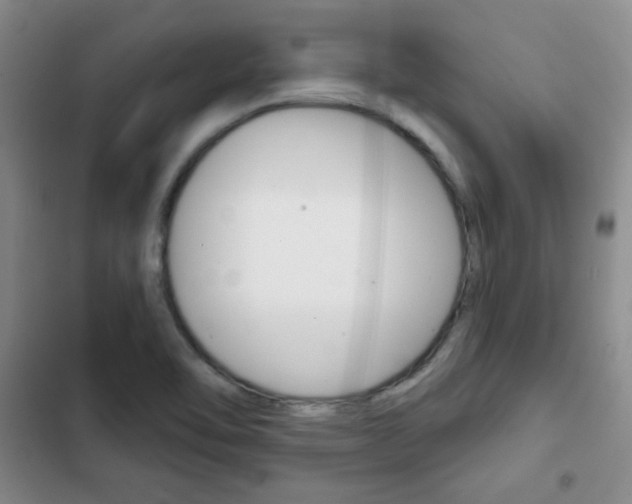 X0000102821462200808181013