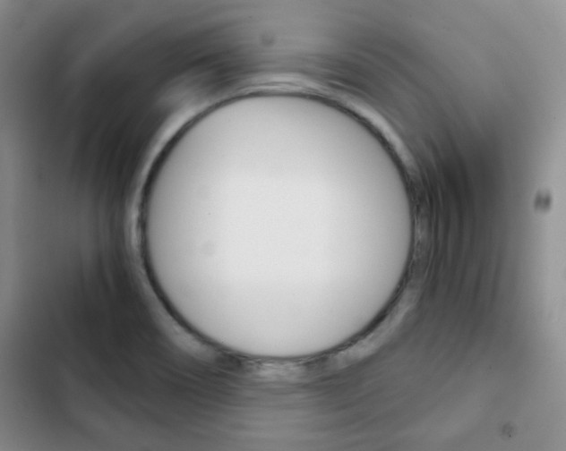 X0000102821466200808181013