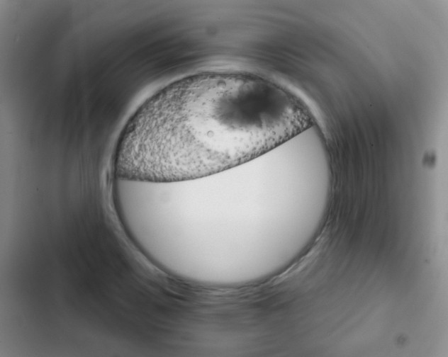 X0000102821467200808181013