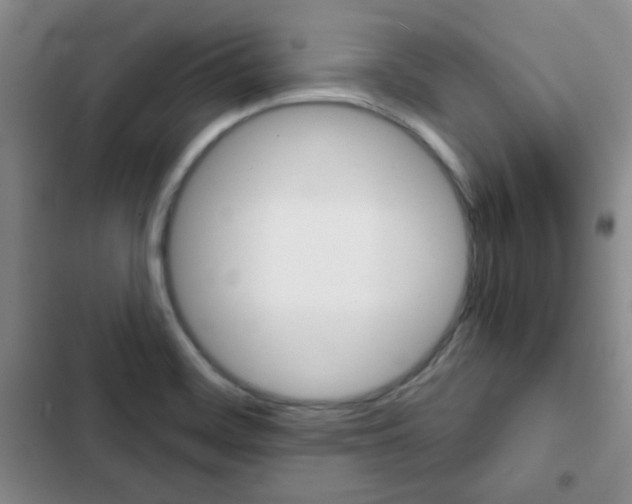 X0000102821468200808181013