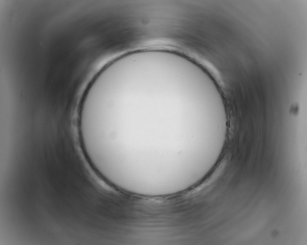 X0000102821470200808181013