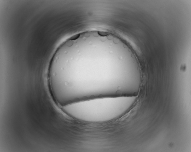 X0000102821471200808181013