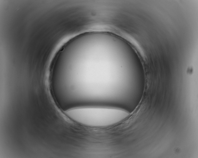 X0000102821472200808181013
