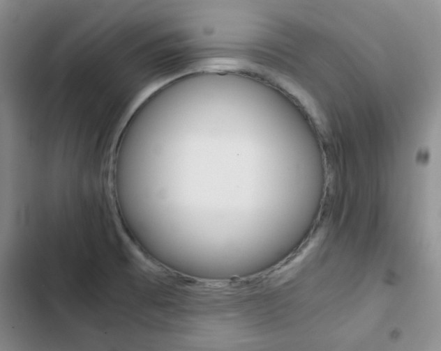 X0000102821473200808181013