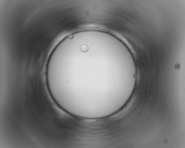 X0000102821474200808181013