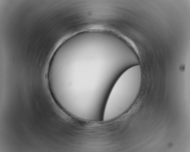 X0000102821475200808181013