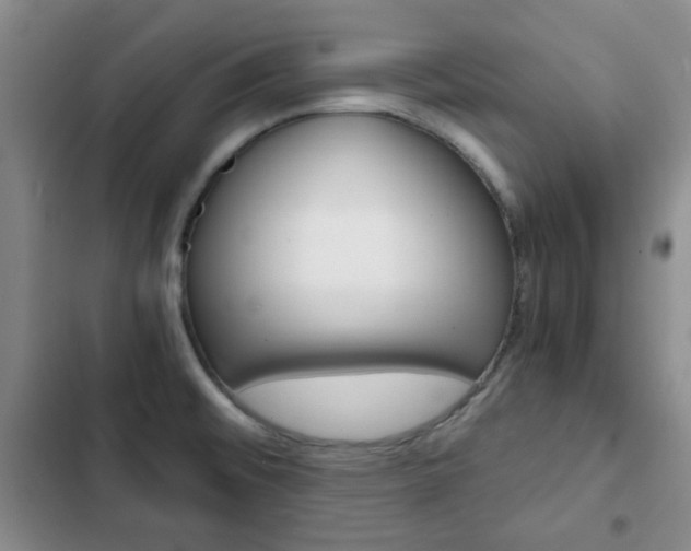 X0000102821476200808181013