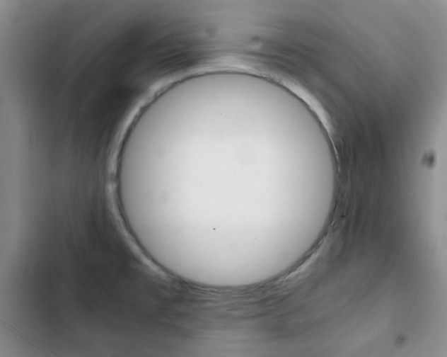 X0000102821477200808181013